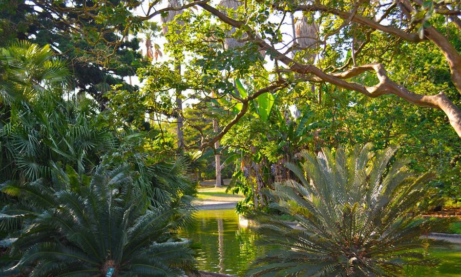 jardim-botanico-tropical
